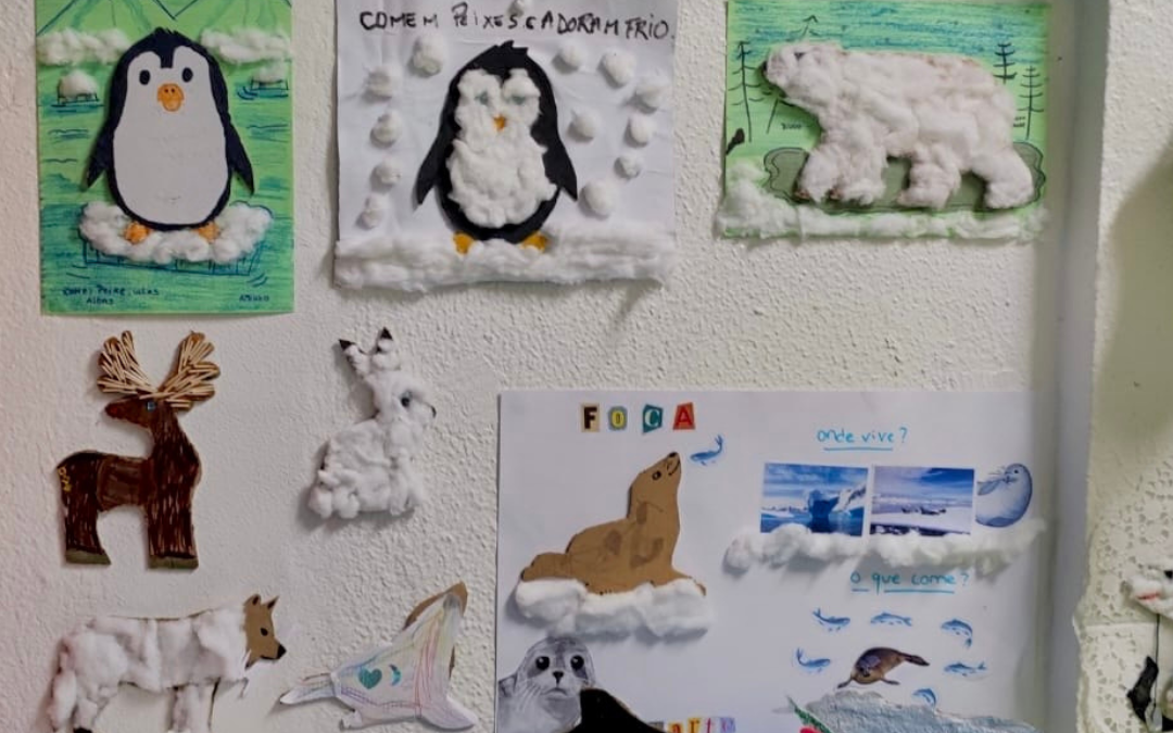 Animais do Frio e da Neve