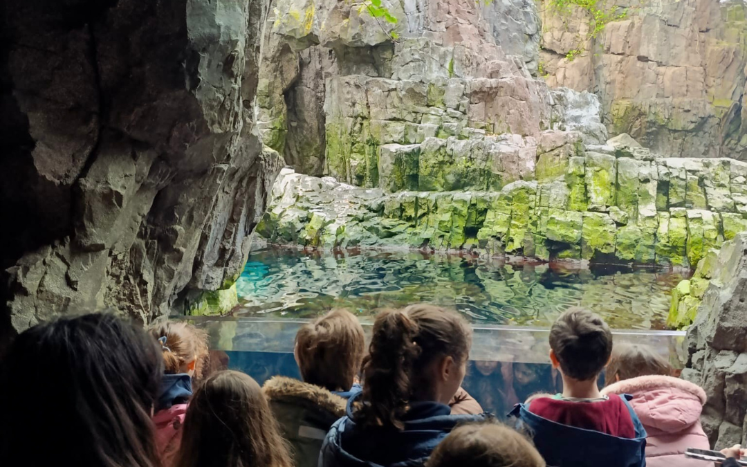 Ida ao Oceanário de Lisboa
