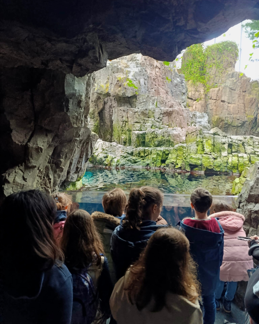 Ida ao Oceanário de Lisboa